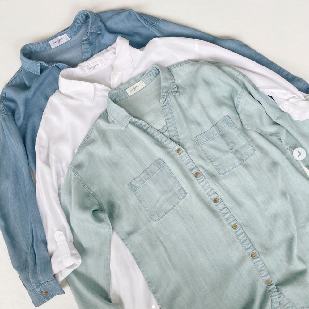 Carly Jean Los Angeles Ari Chambray Top